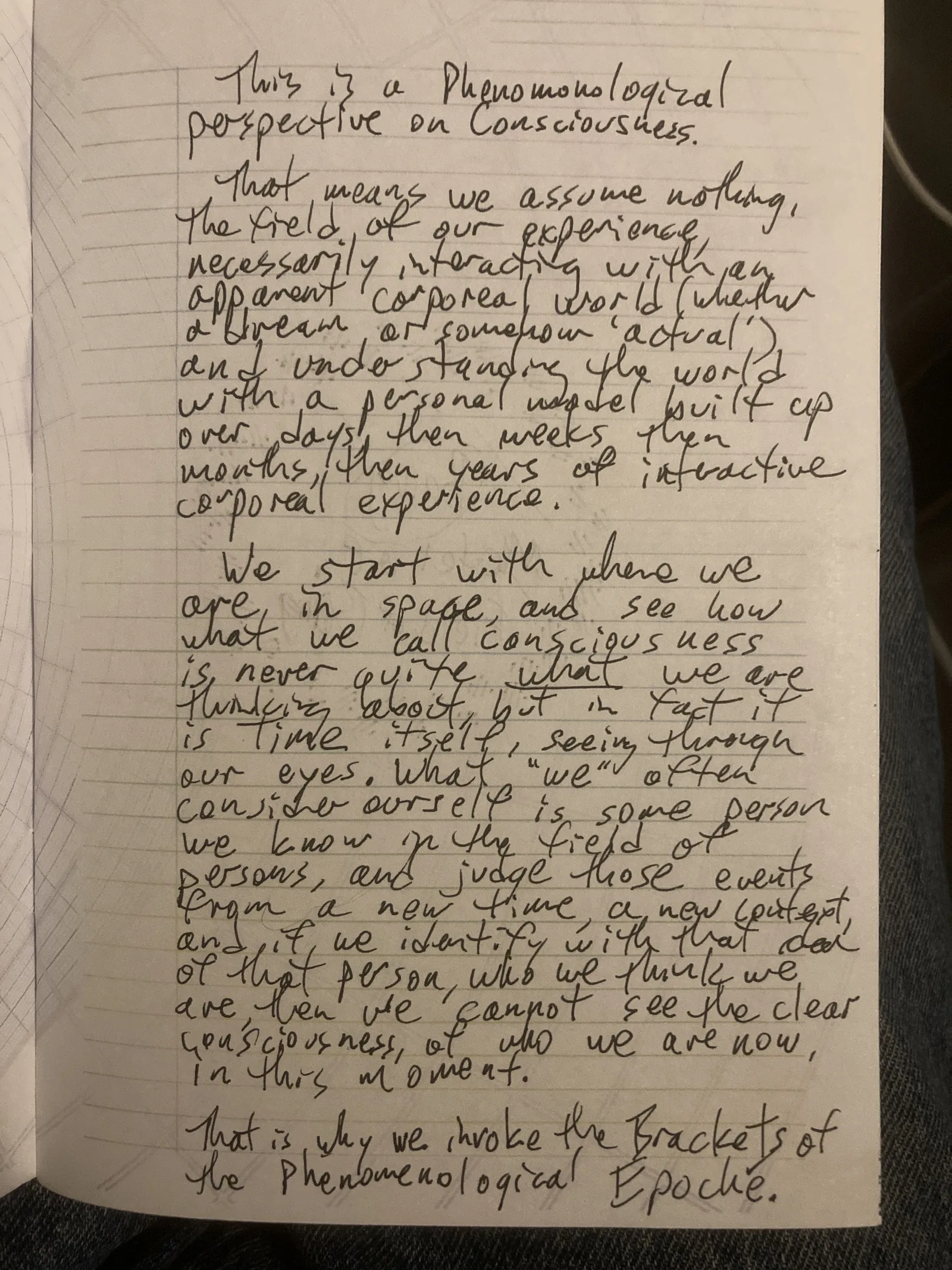 Notebook Phenomenology handwriting